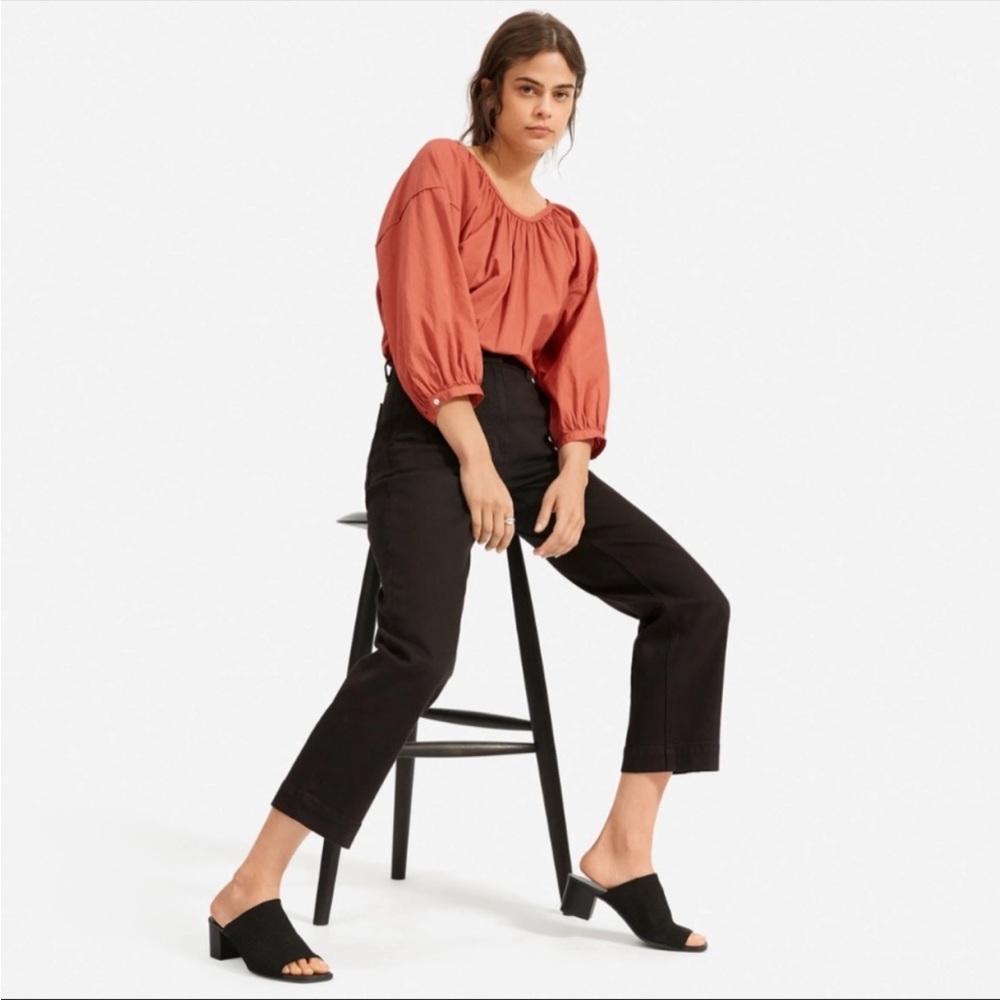 Everlane black cropped straight short pants